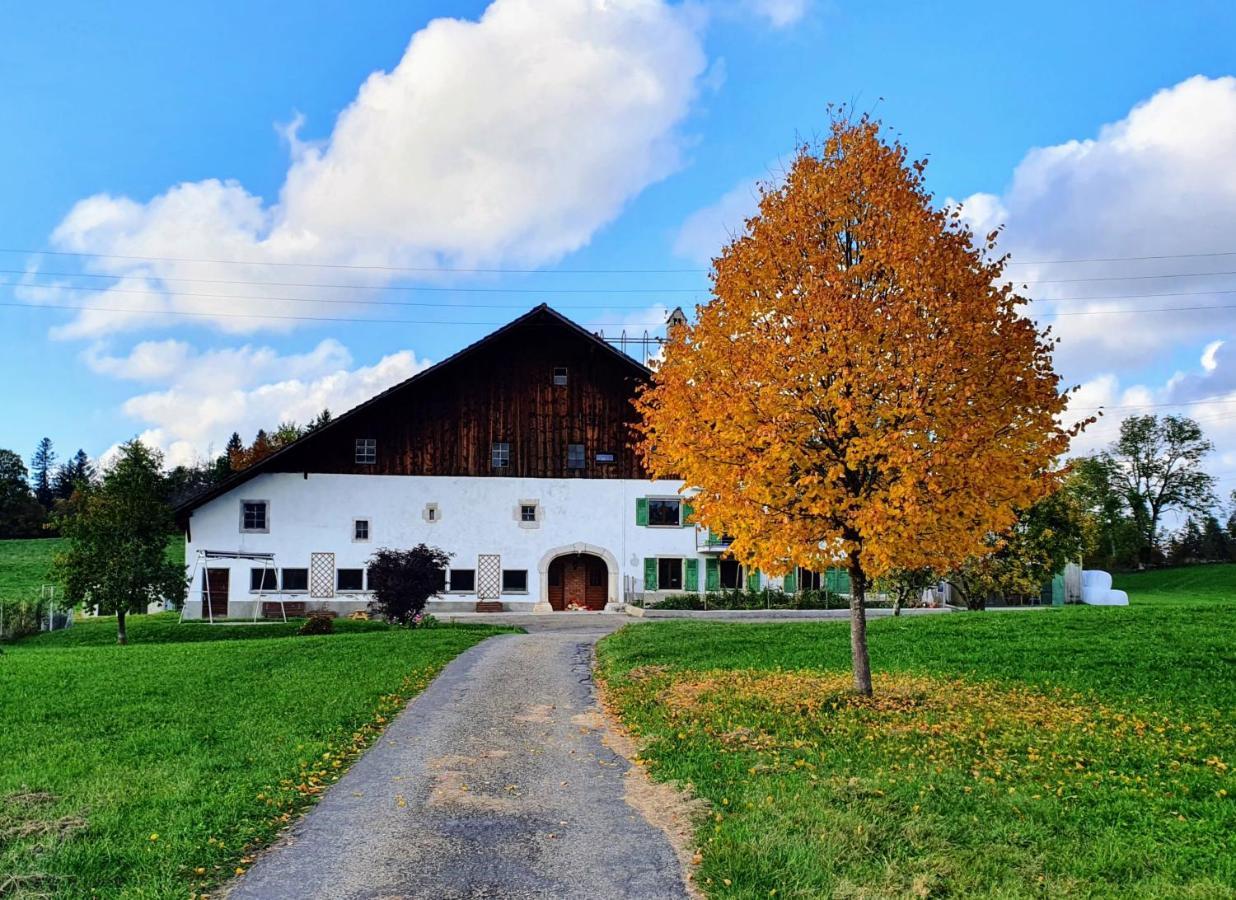 O Valanvron - Appartement Dans Une Ancienne Ferme Neuchateloise La Chaux De Fonds Exterior photo